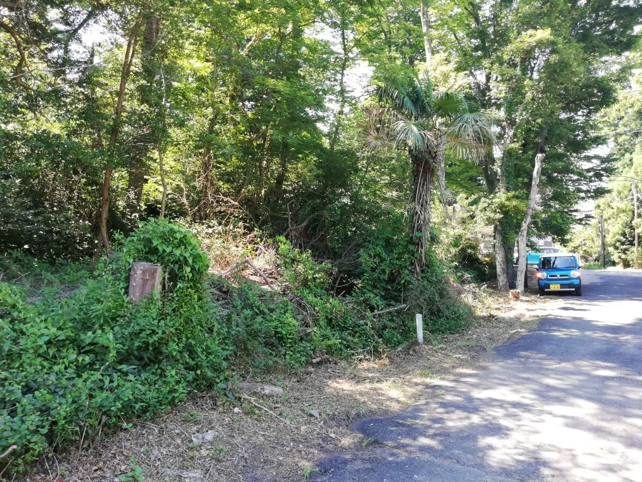 静岡県 伊東市｜【接道あり！】伊東 十足の山林 550坪 を20万円で 
