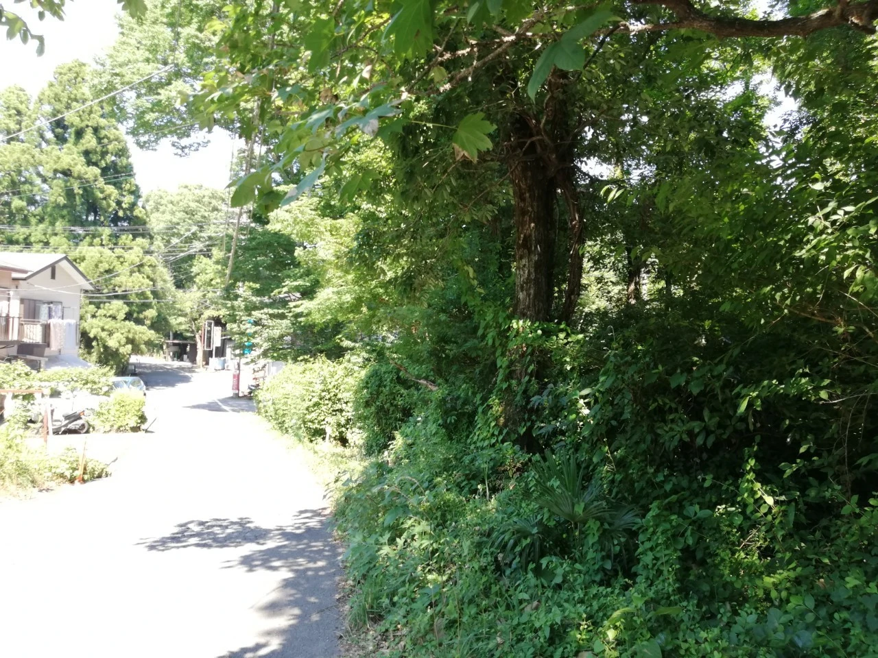静岡県 伊東市｜【接道あり！】伊東 十足の山林 550坪 を20万円で 