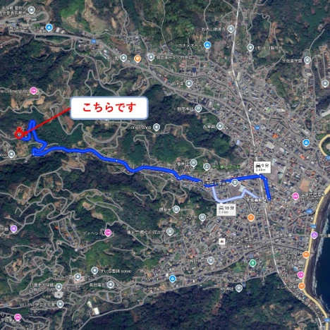 静岡県 伊東市｜伊東市宇佐美の約1400㎡の別荘地（山林）｜フィールド 