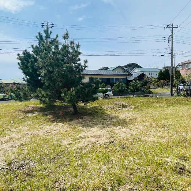 千葉県 勝浦市｜【接道あり】千葉県勝浦市 山林約150㎡ 最寄り駅より