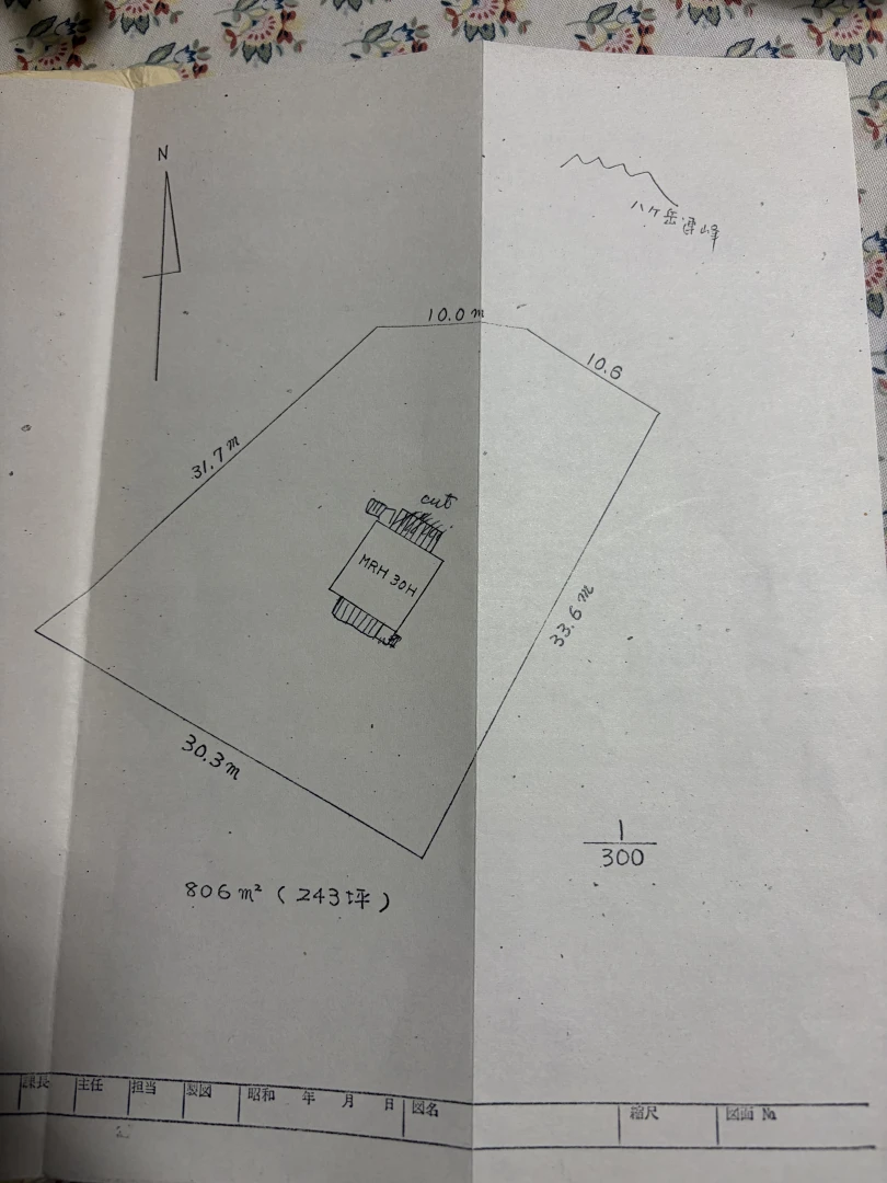 長野県 諏訪郡富士見町｜受付停止中【2万円・現状渡し・即引渡可・土地