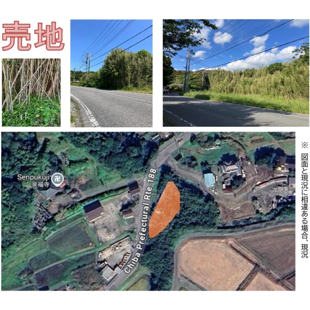 千葉県 勝浦市｜【接道あり】千葉県勝浦市 山林約150㎡ 最寄り駅より