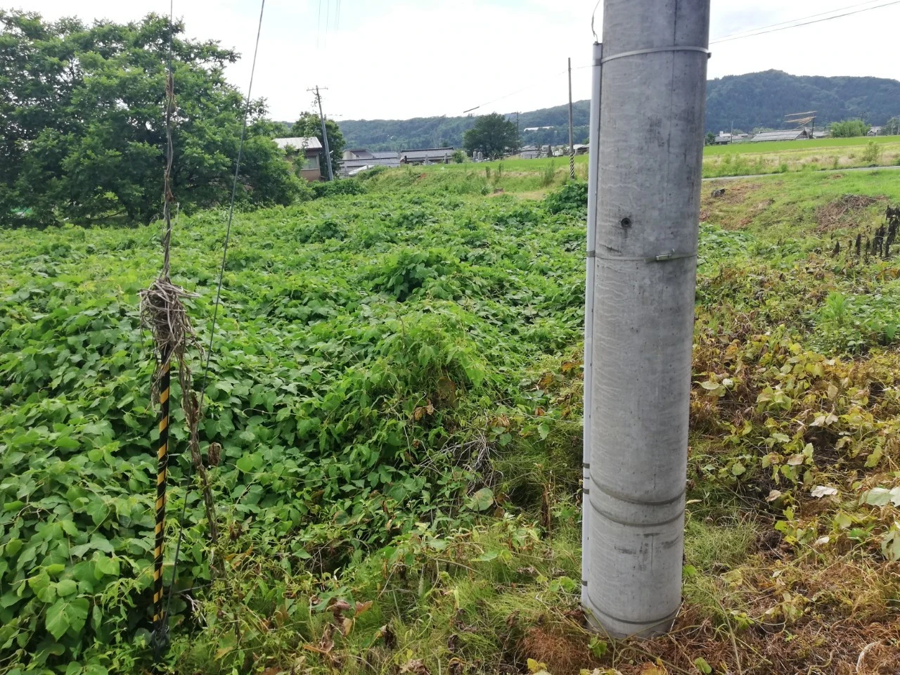 新潟県 三条市｜新潟県三条市☆田園地帯の一角の約350坪！｜フィールド 